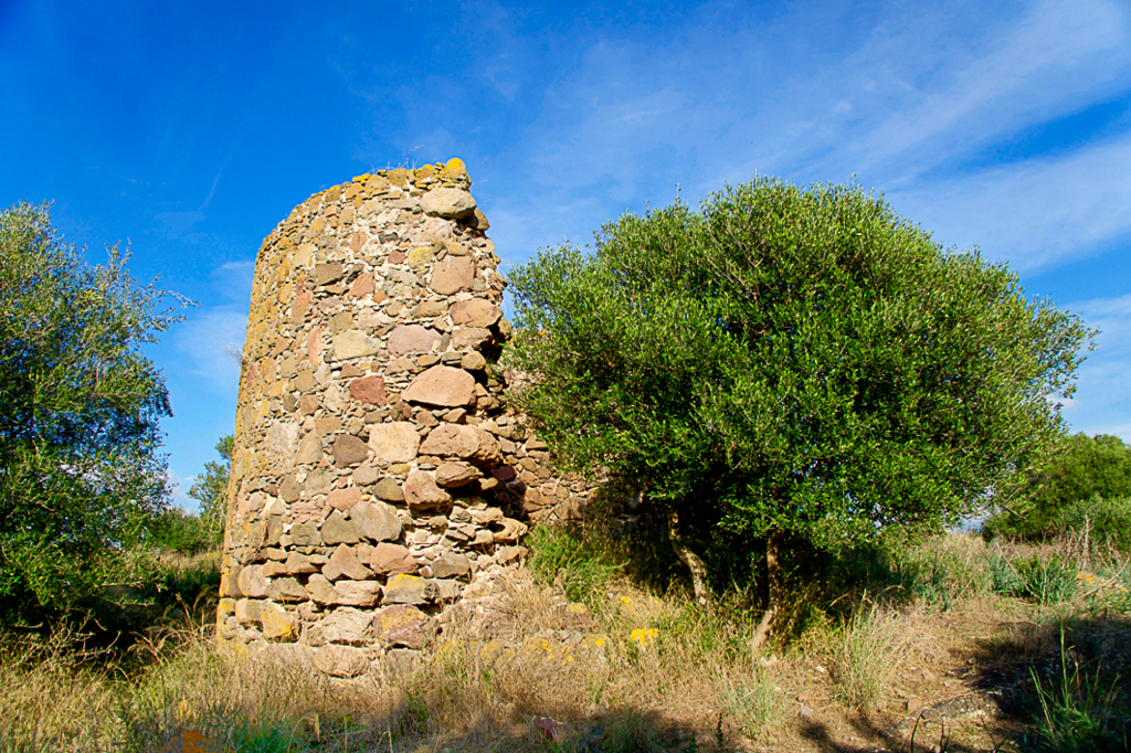 Torre pisana a Giba