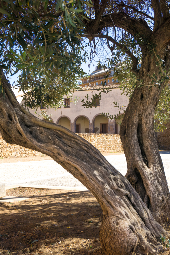 Chiostro di Iglesias
