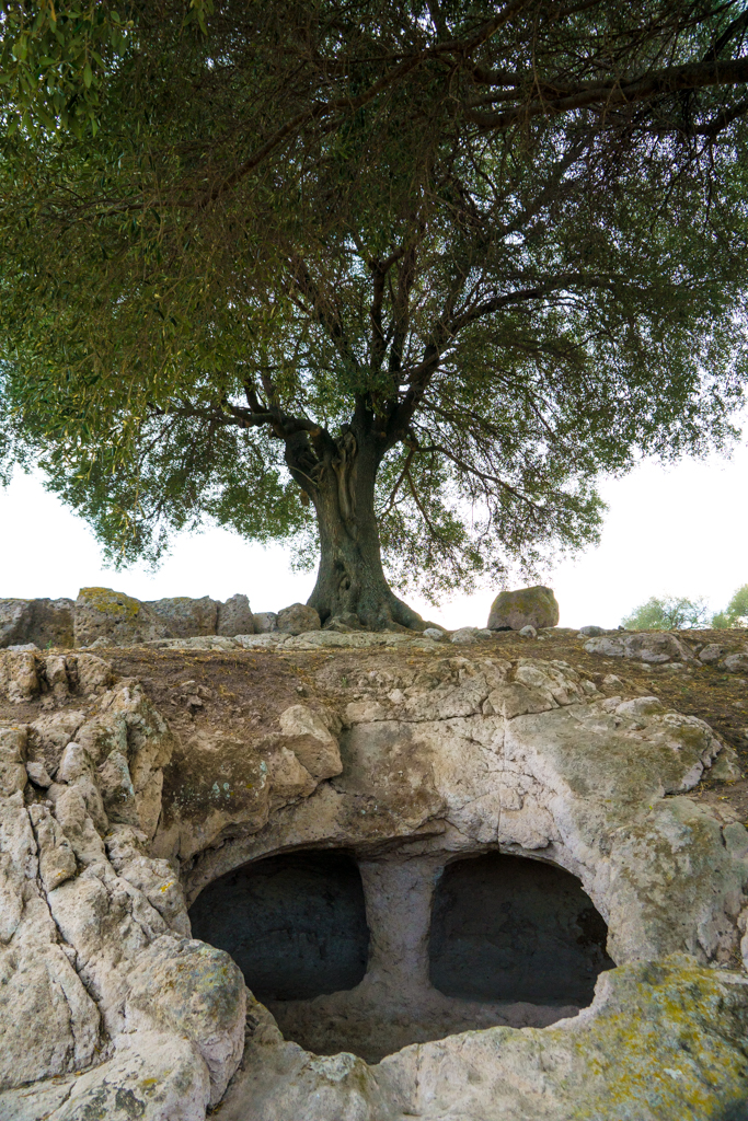 Area Archeologica di Pani Loriga a Santadi
