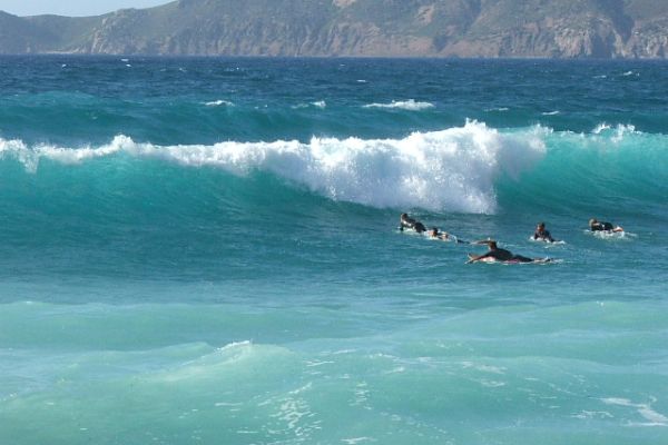 Buggerru Surf School