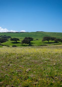 Paesaggio campagne di Gonnesa