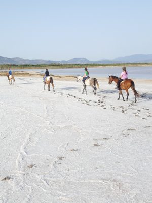 Escursione a cavallo alle saline con Maneggio Sulcis